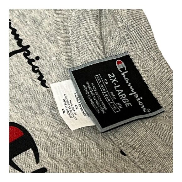 Champion All Over Print Crop T-Shirt Script logo Red Blue Grey - Picture 5 of 6